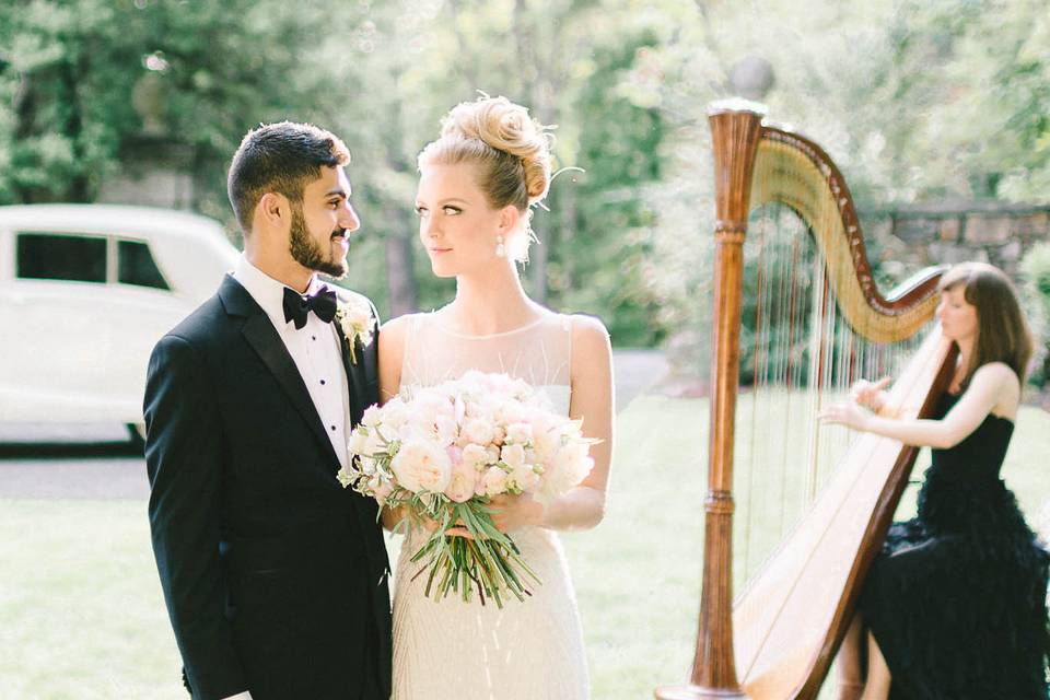 Diana Marie Gibbs, Harpist