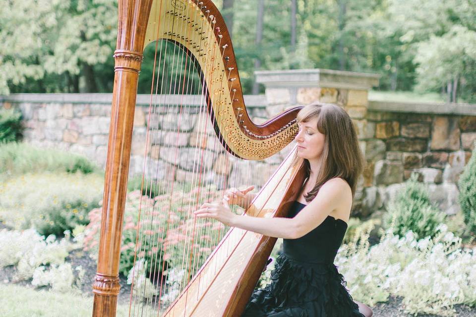 Diana Marie Gibbs, Harpist