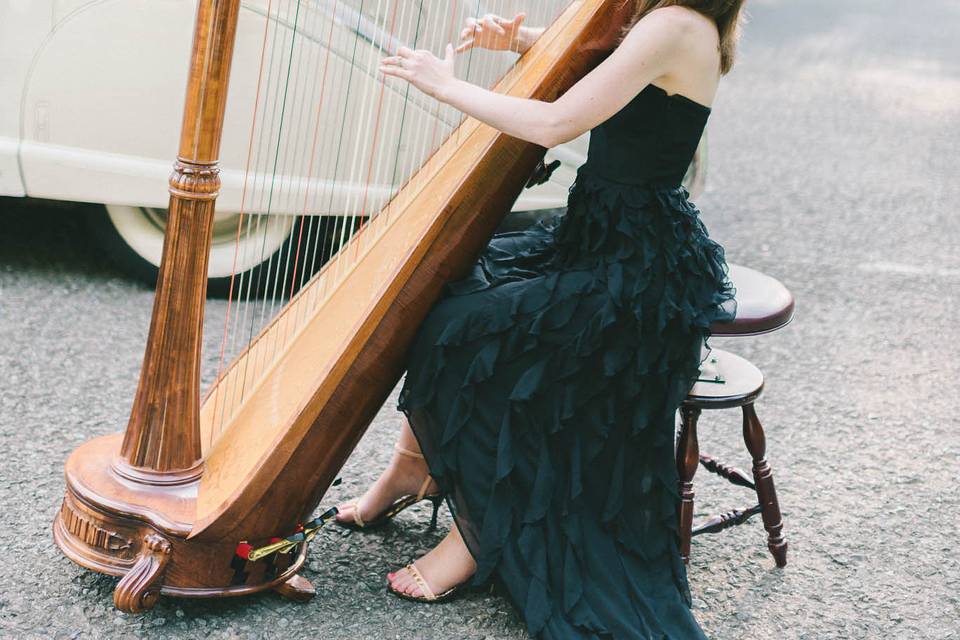 Diana Marie Gibbs, Harpist