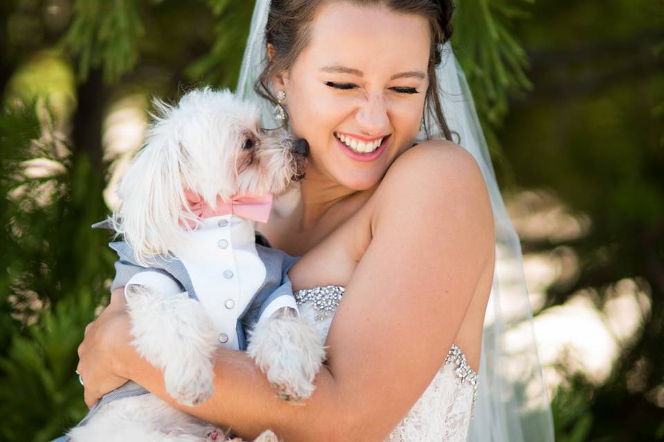 Bride and Puppy