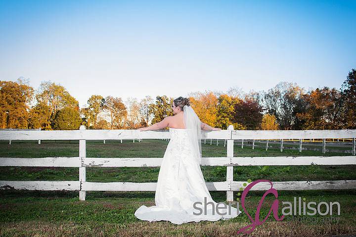 Sheri Allison Photography