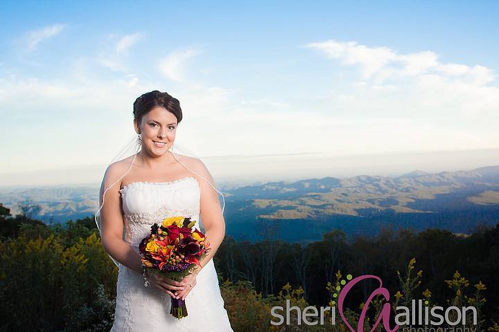 Sheri Allison Photography