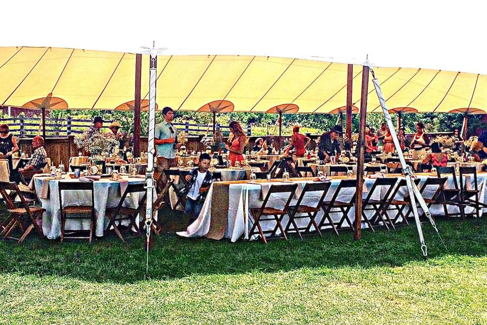 Down The Aisle Ceremonies