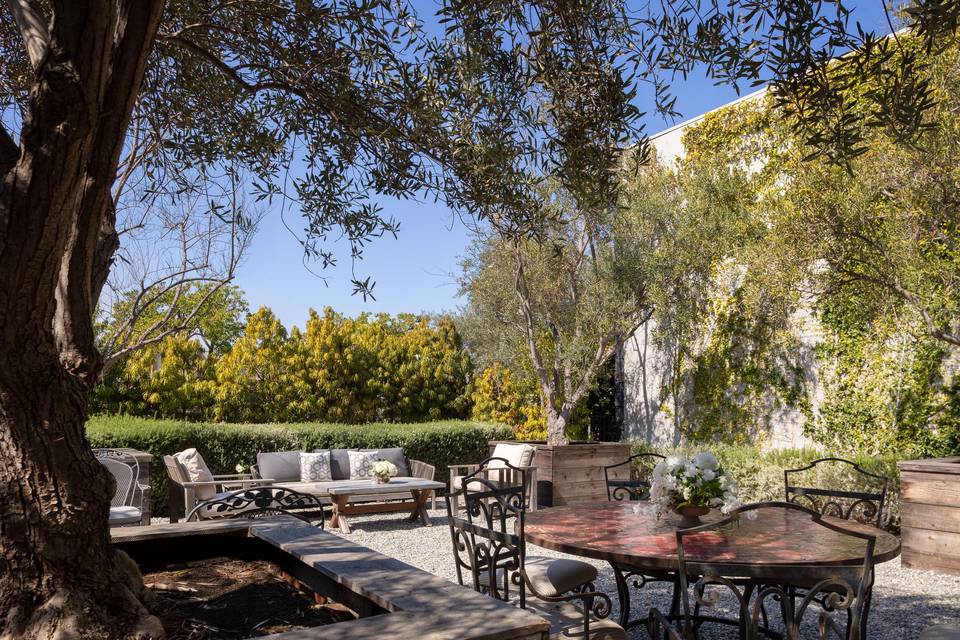 Olive Grove Cocktail