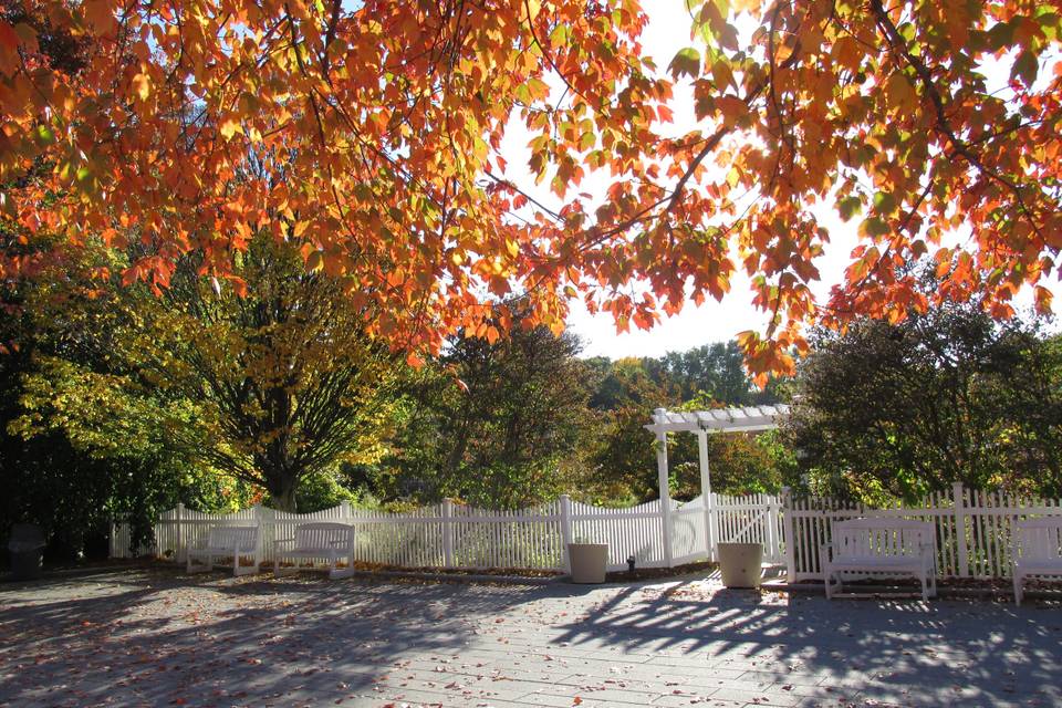 Wedding Garden in Autumn