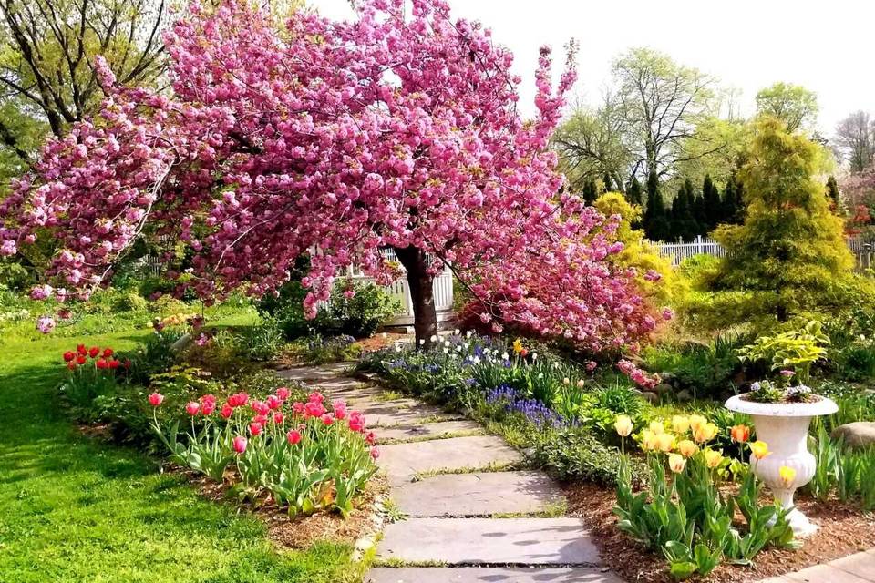 Wedding Garden in Spring