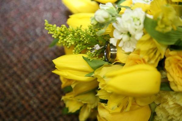 Visual Expressions Photography