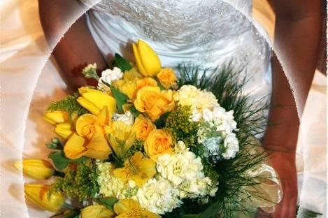 Visual Expressions Photography