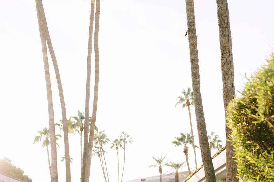 Modern Arizona Wedding