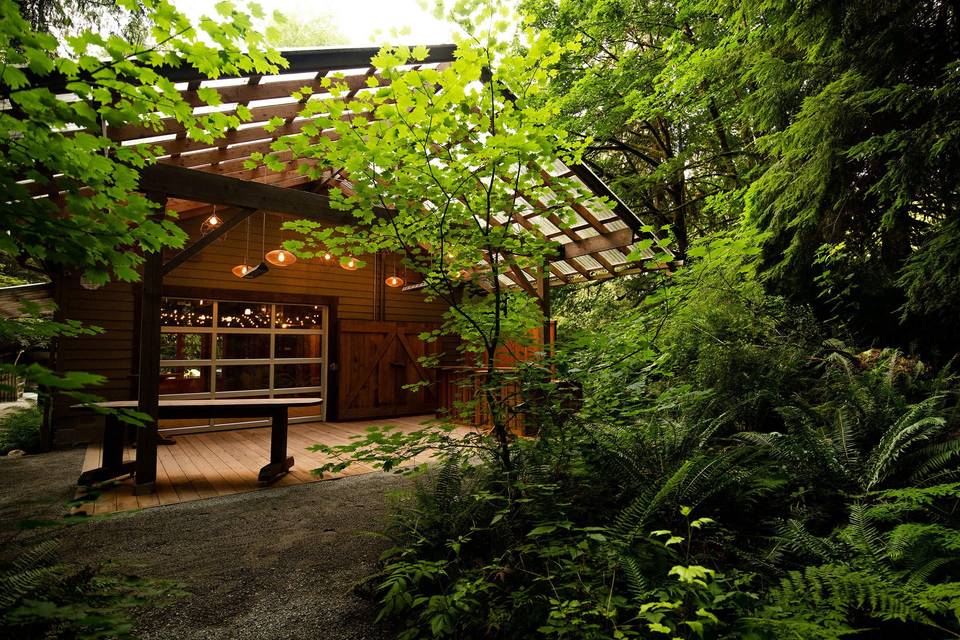 Treehouse Point