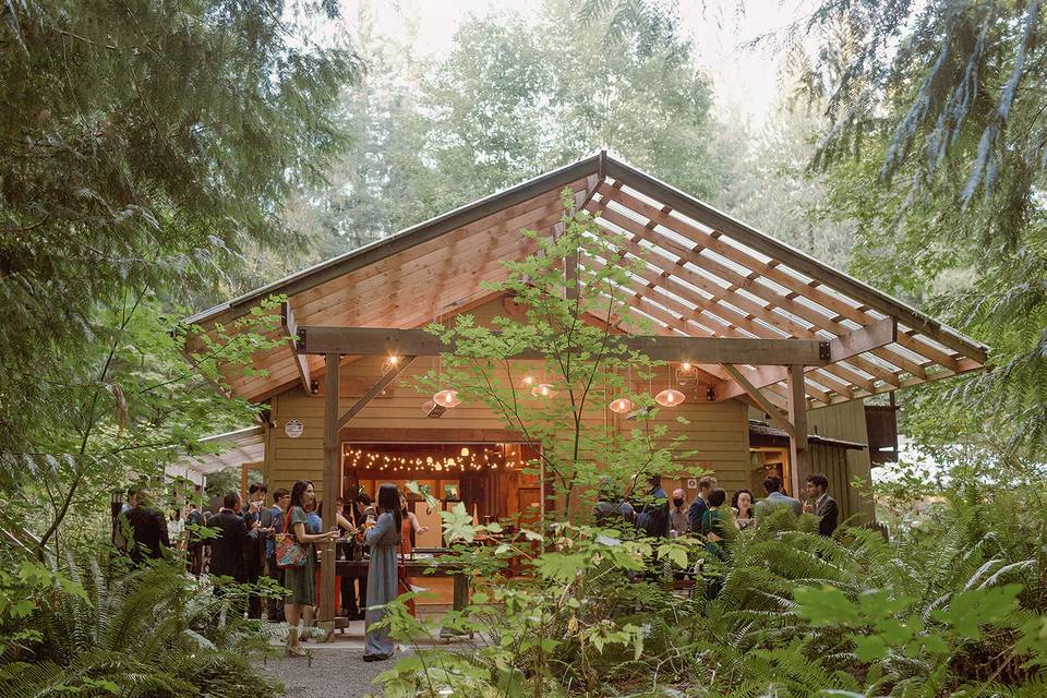 Treehouse Point
