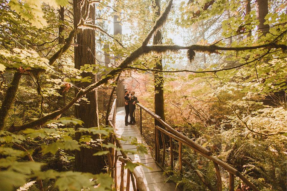 Treehouse Point