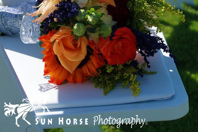 Sun Horse Photography