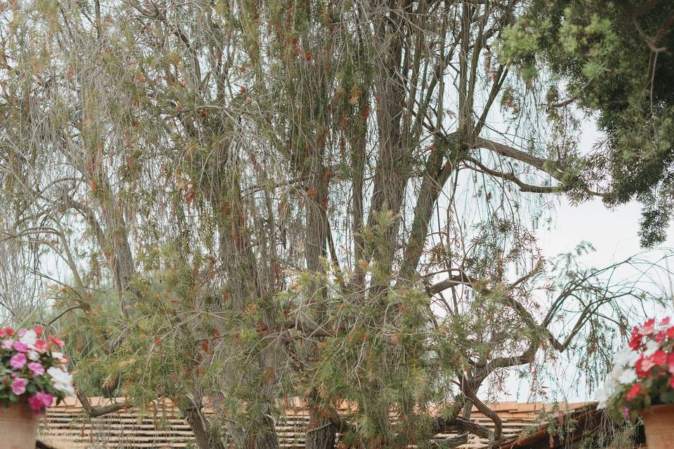 The Old Rancho Courtyard