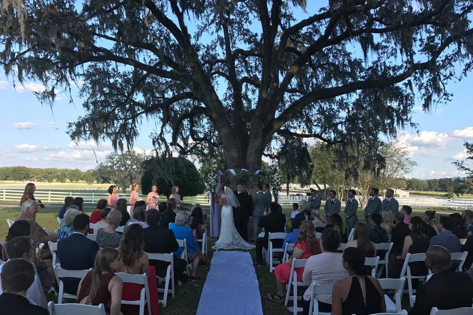 Outdoor wedding ceremony