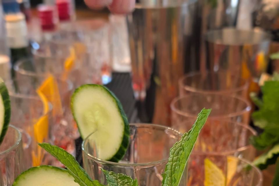 Cucumber Gin Spritz