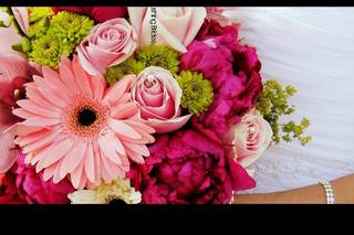 Orchids & Company