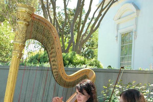 Pamela Brown - Harpist