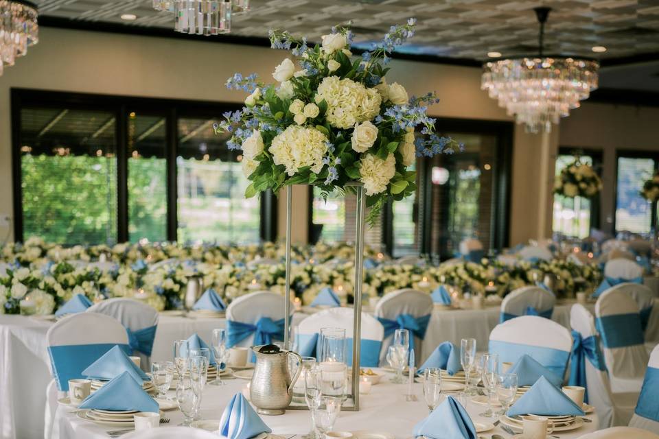 Blue Sash