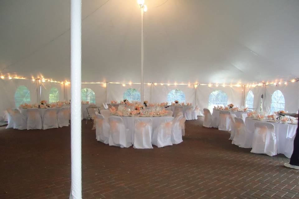 Tented dining setup