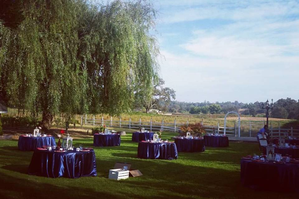 The reception at a wedding I worked