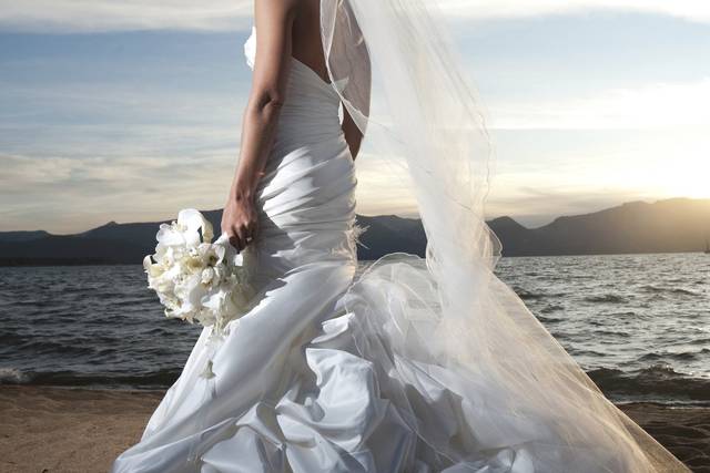 Visualized Arts Photography
