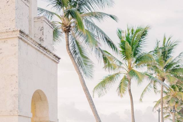 Love under the palms
