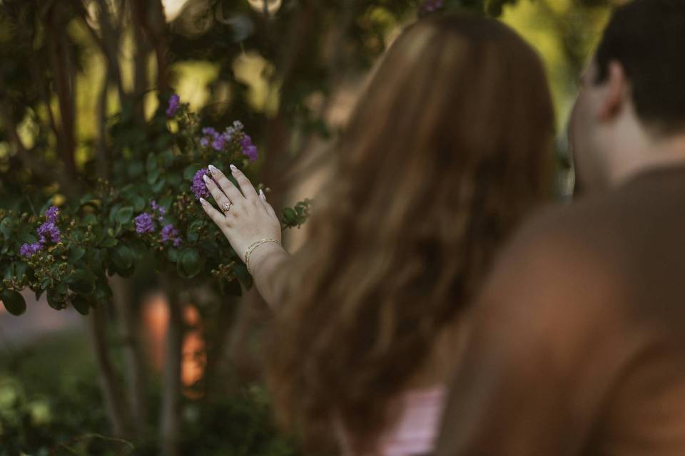 Engagement Session