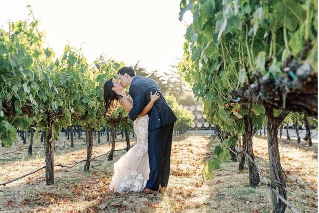 River Bend Vineyard