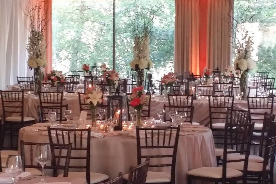 Reception set-up