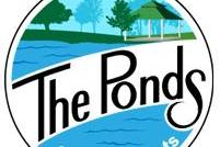 The Ponds
