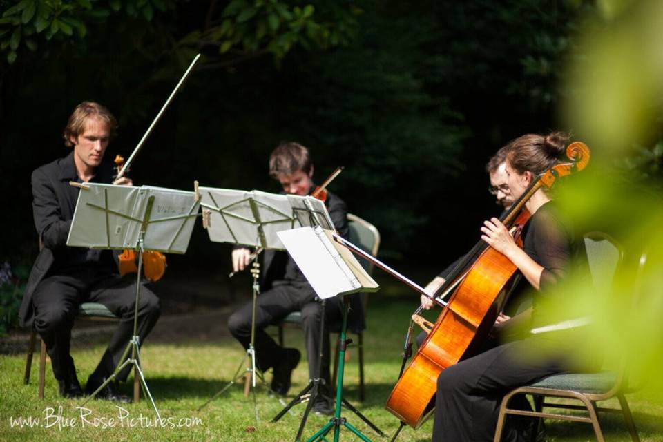 In Tempo Strings
