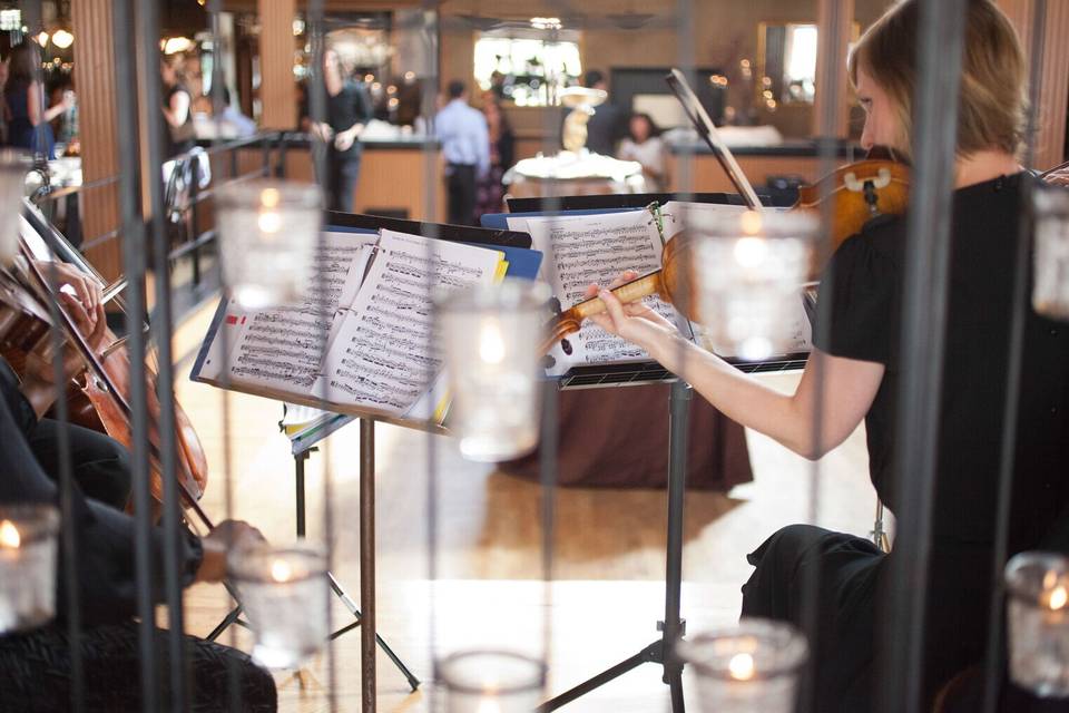 In Tempo Strings