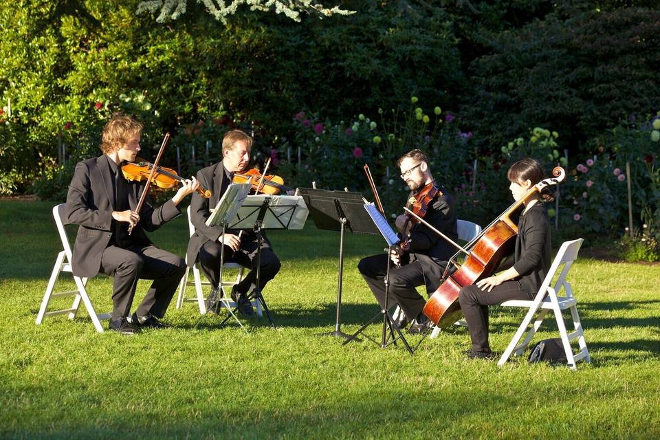 In Tempo Strings