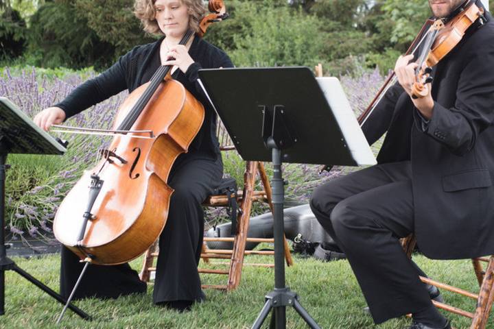 In Tempo Strings