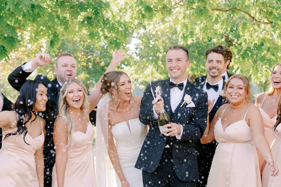 Champagne Toast with Wedding