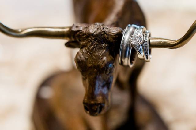 Wedding rings on the horn | PHOTO CREDIT: Grey to Blue Photography