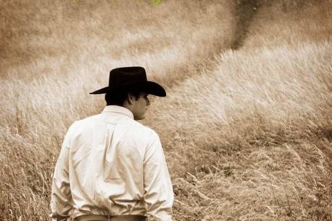 Jessica Taylor Photography