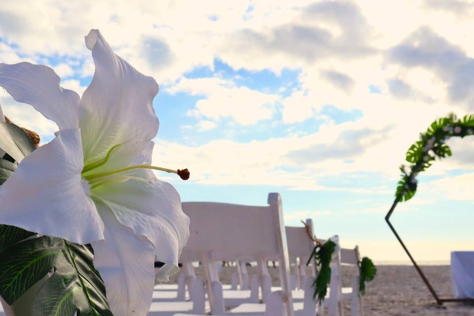The Beachcomber Beach Resort