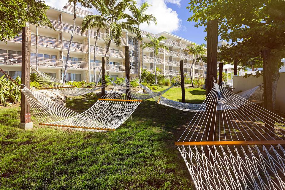 Hammock