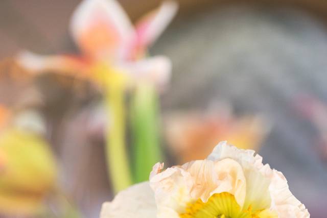 Floral Details