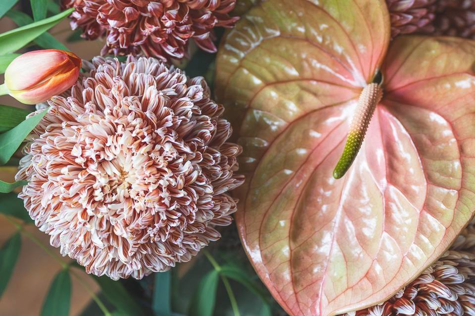 Floral Details