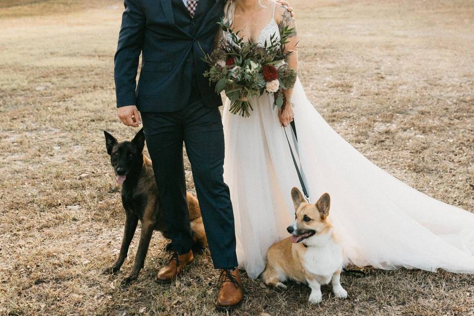With their dogs | Amelia Fletcher Photography