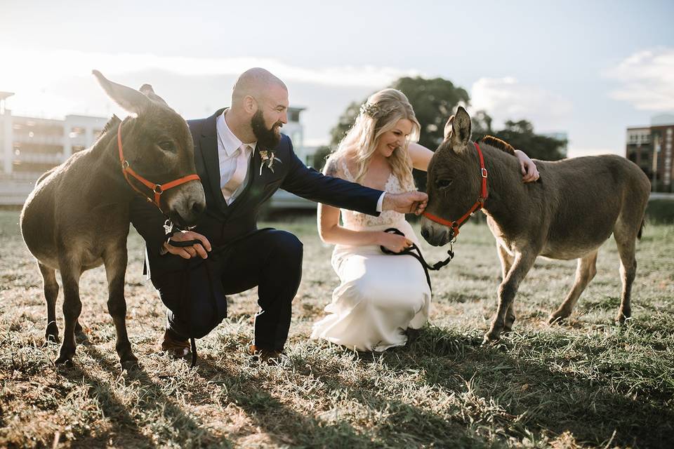 Petting | Meagan Forbes Photography