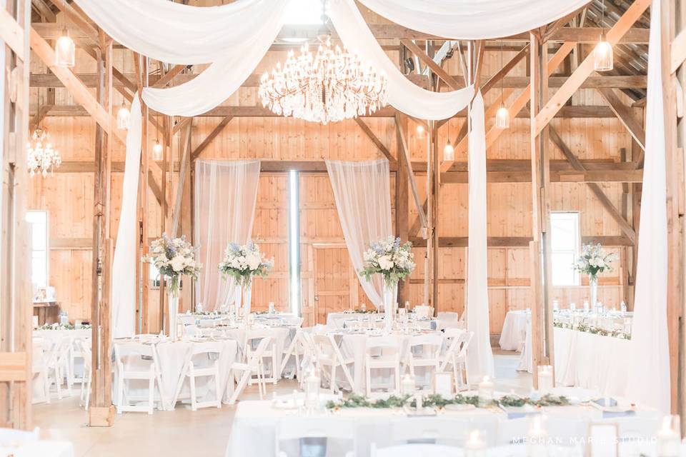 Ceiling Drape