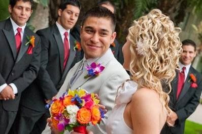 Lionsbrow Photography