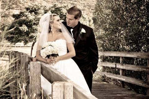 Lionsbrow Photography