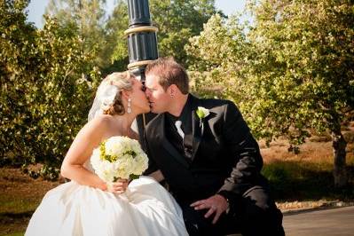 Lionsbrow Photography