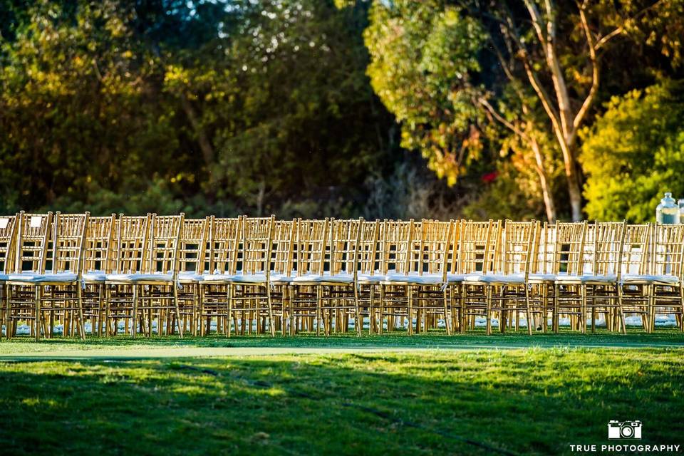 Wedding chairs