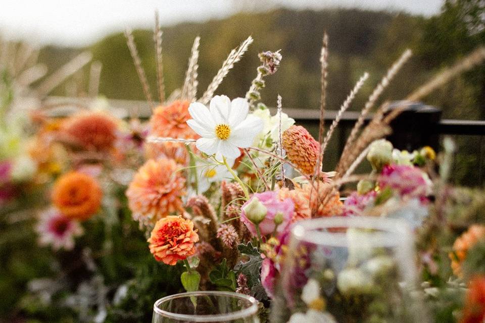 Meg Thompson Photography